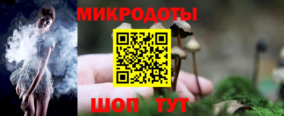закладки  Галлюциногенные грибы мицелий  Вход с VPN  Минеральные Воды 